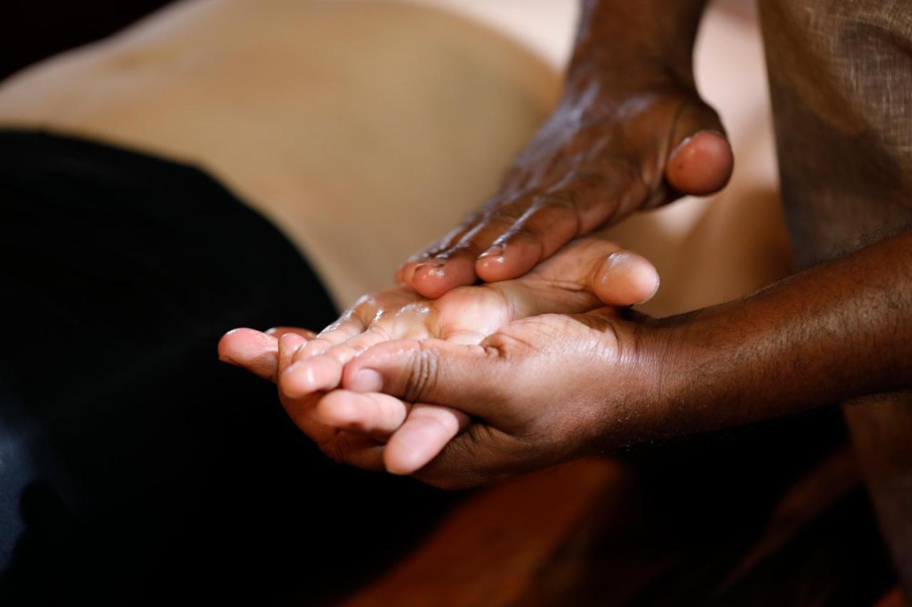 Sanjeevini Life Care Village - A Science Based Non - Invasive Holistic Wellness Destination Kochi Exteriér fotografie